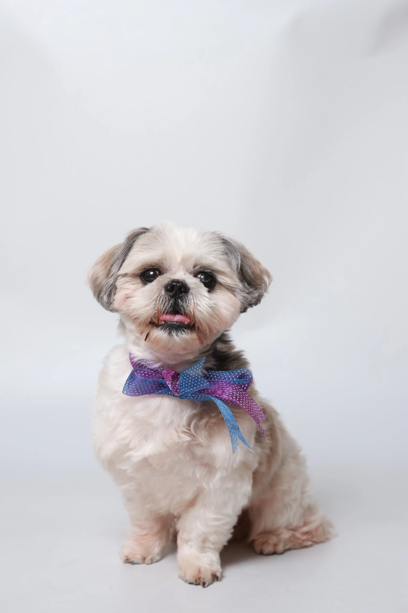 Ozzie, BMG Certifier